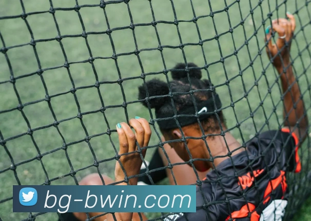 必赢官网APP 体育赛事宣传图